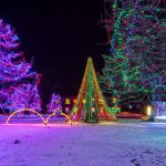 A snowy image of one of the Christmas Light Tours