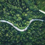 Why Car Recycling Matters for the Environment